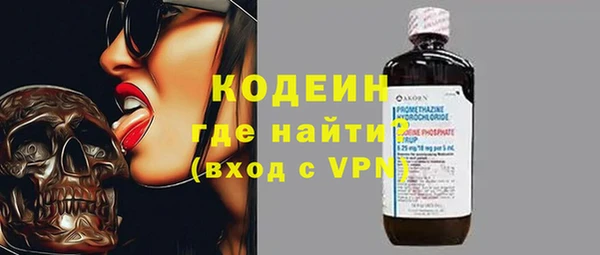 хмурый Алексин