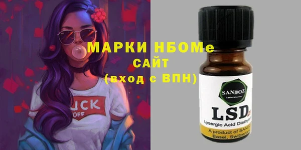 хмурый Алексин
