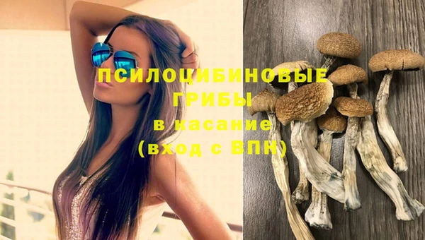ешки Алзамай