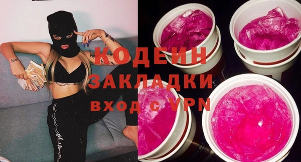 хмурый Алексин