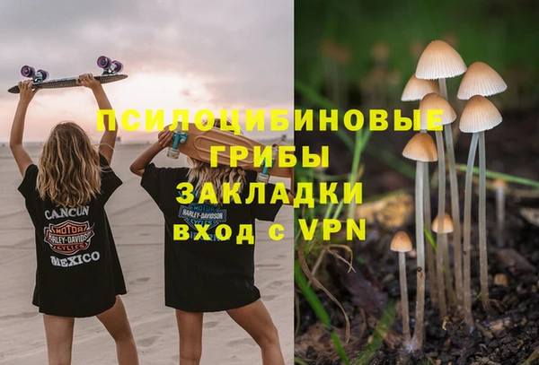 ешки Алзамай