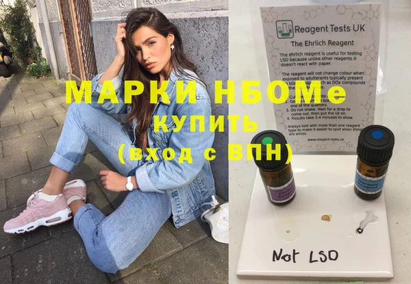 хмурый Алексин