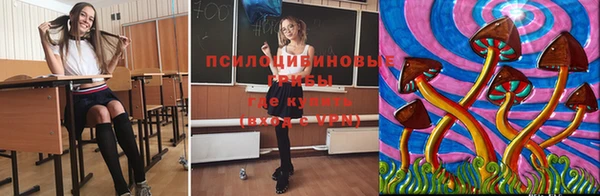 соль ск Армянск